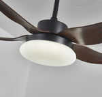 Aero Palm Ceiling Fan Light with LED Dome and Walnut Blades