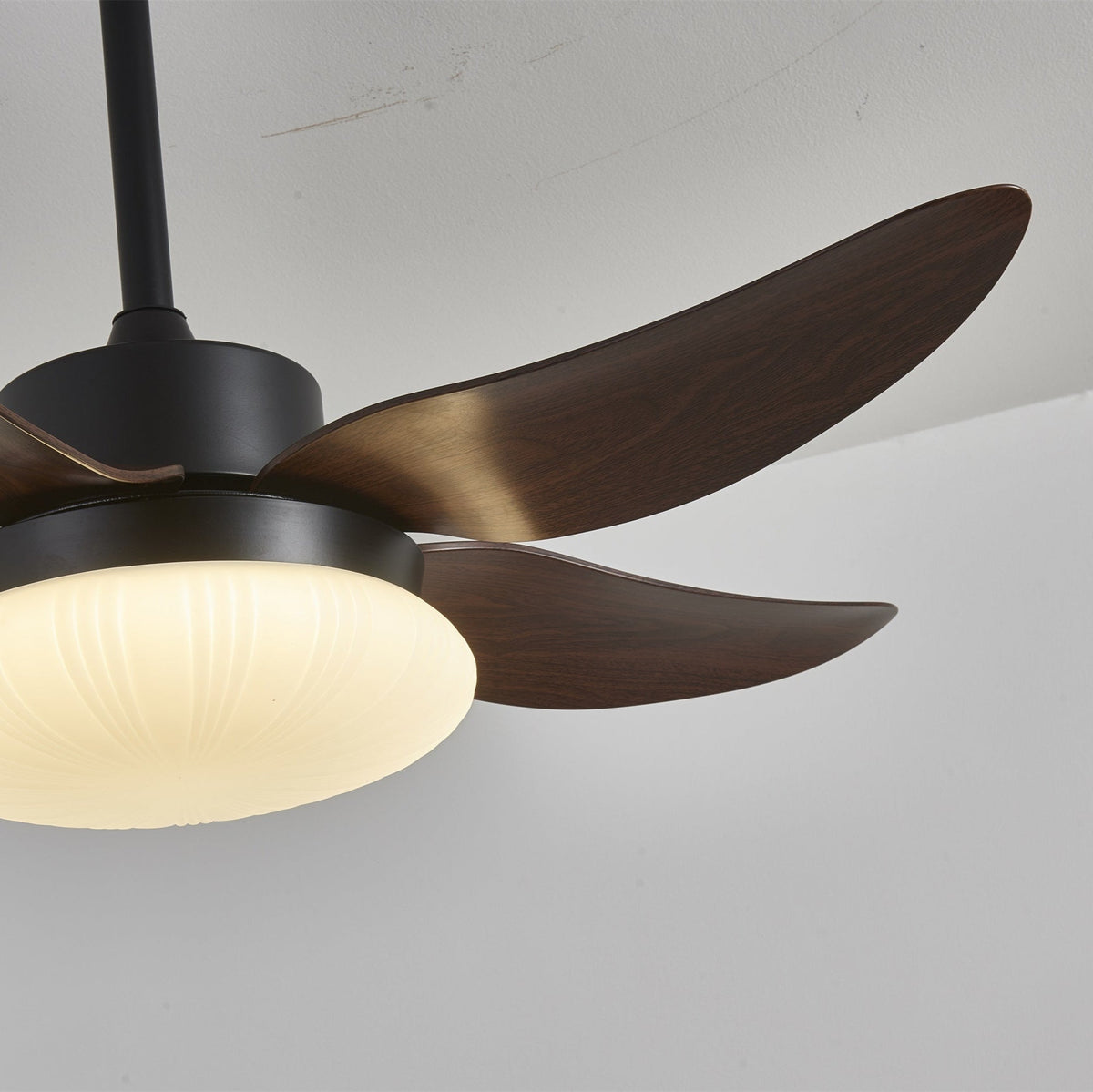 Aero Palm Ceiling Fan Light with LED Dome and Walnut Blades