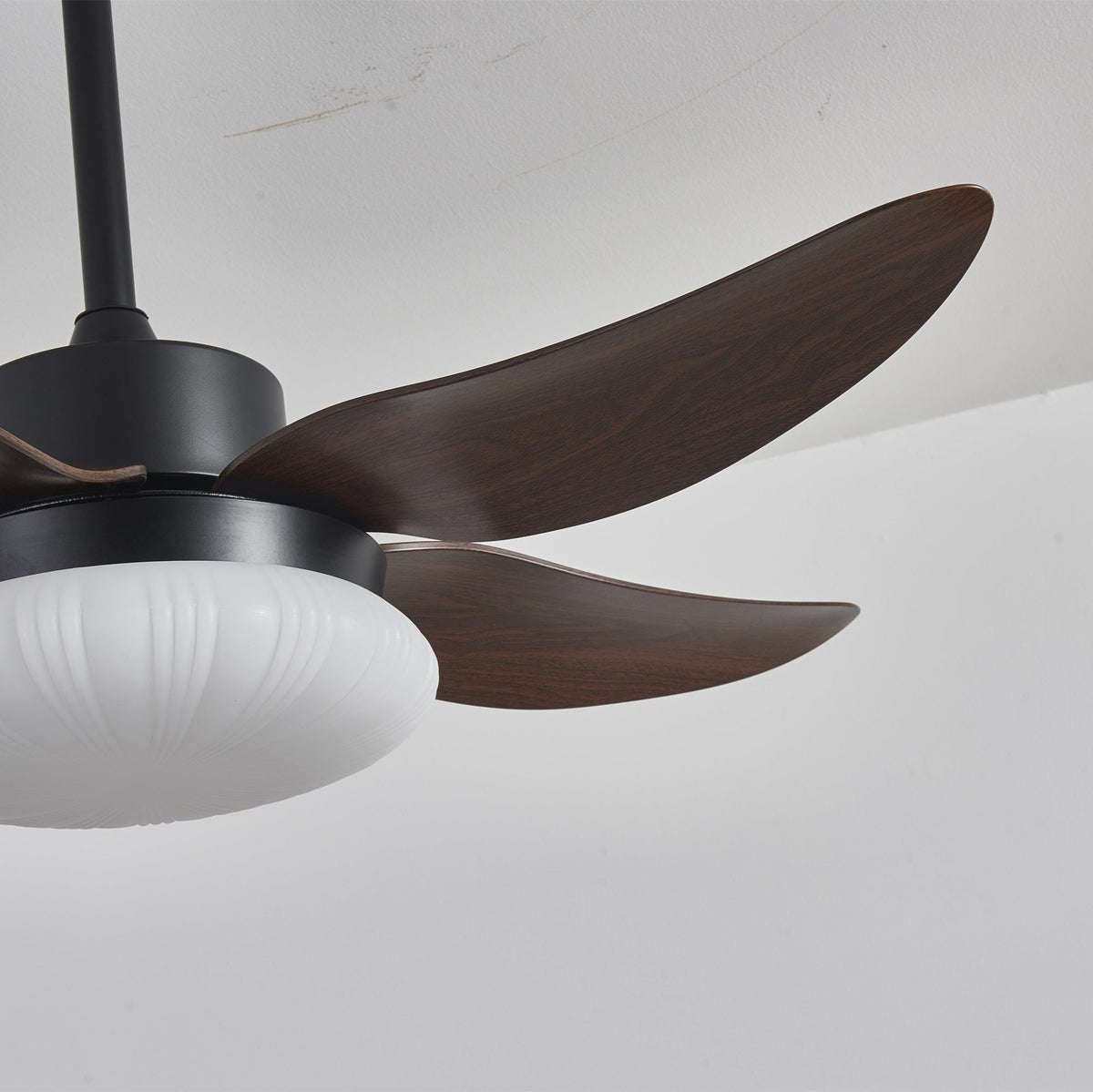 Aero Palm Ceiling Fan Light with LED Dome and Walnut Blades