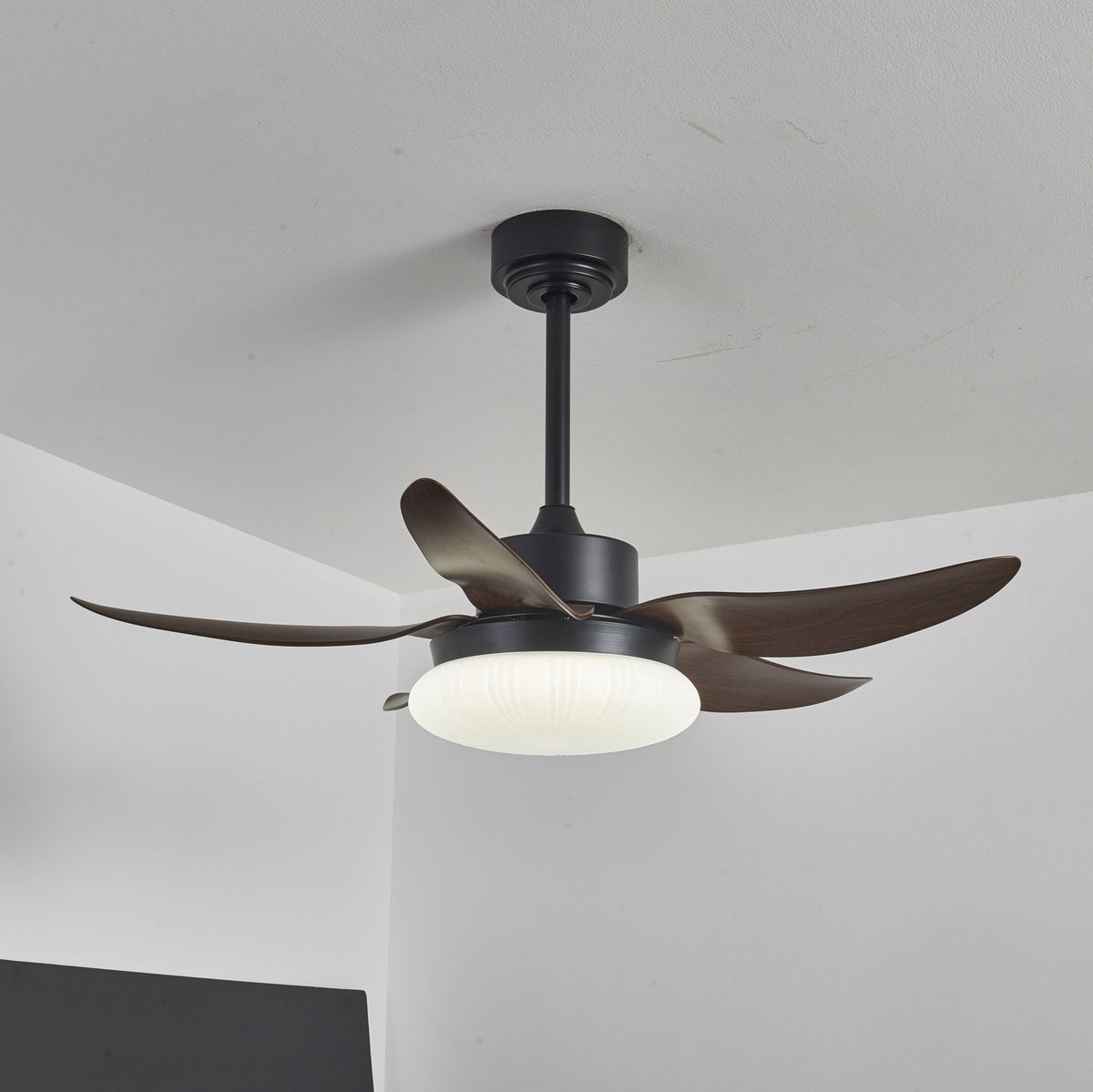 Aero Palm Ceiling Fan Light with LED Dome and Walnut Blades
