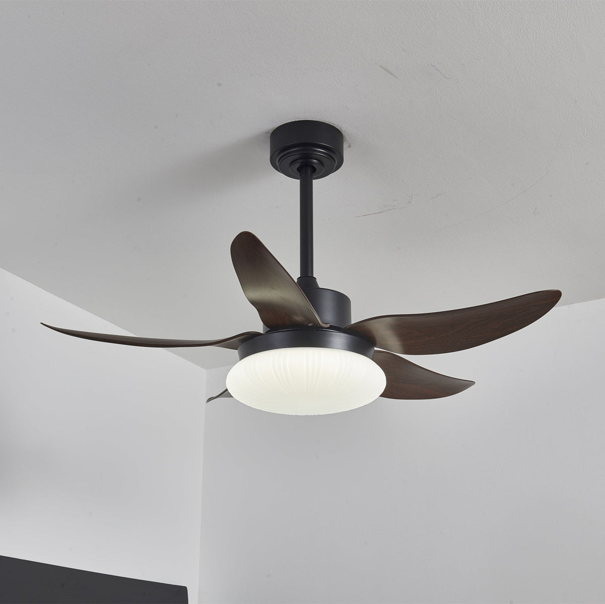 Aero Palm Ceiling Fan Light with LED Dome and Walnut Blades