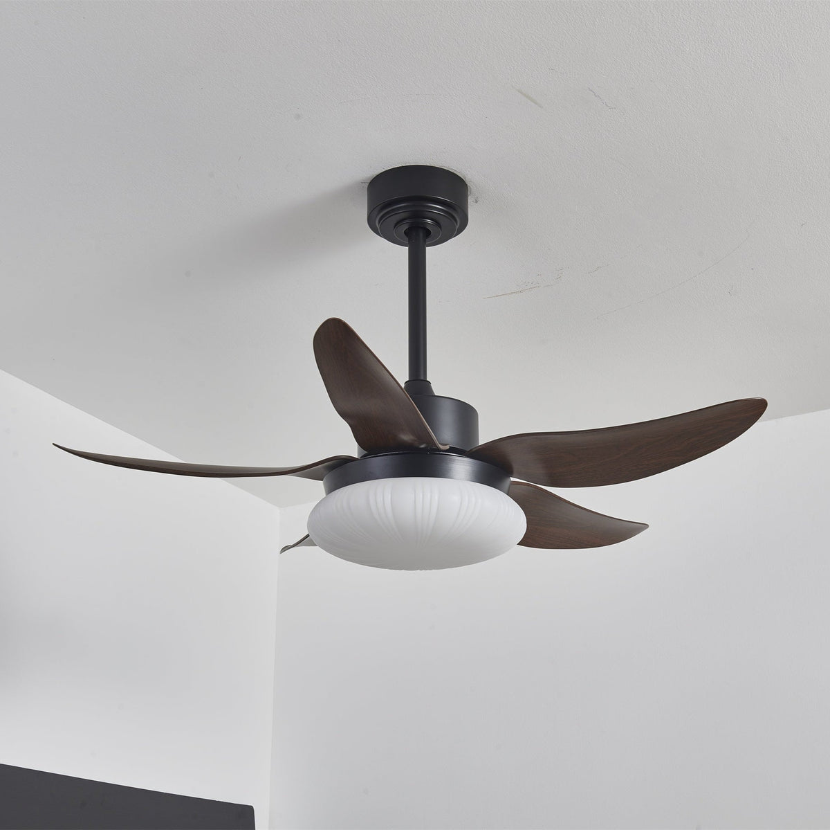 Aero Palm Ceiling Fan Light with LED Dome and Walnut Blades