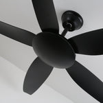 Aeron Noir Ceiling Fan with Light – Modern Black LED Fan for Living Room and Bedroom