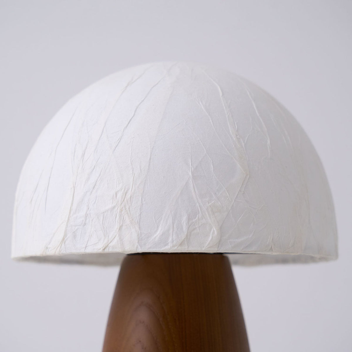 Myco Mushroom Table Lamp with Walnut Wood Base and LED