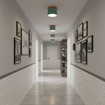 Alva Wooden Surface Downlight – Scandinavian Minimalist Ceiling Lamp