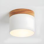Alva Wooden Surface Downlight – Scandinavian Minimalist Ceiling Lamp
