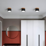Alva Wooden Surface Downlight – Scandinavian Minimalist Ceiling Lamp