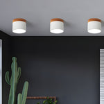 Alva Wooden Surface Downlight – Scandinavian Minimalist Ceiling Lamp