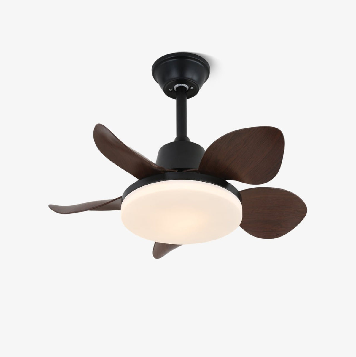 Amelia Designer Ceiling Fan Light with LED – Walnut or Black