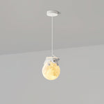 Animal Sleeping Pendant Lamp