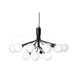 Apiales Chandeliers
