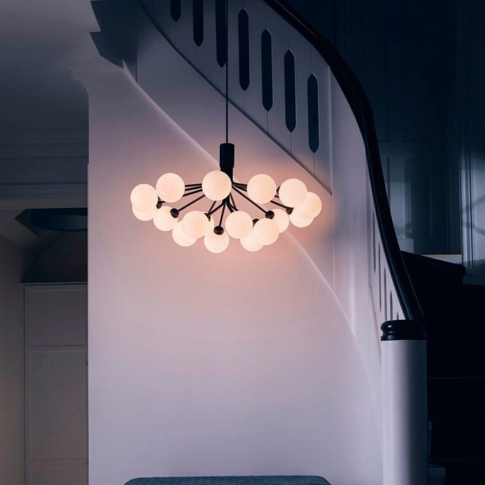 Apiales Chandeliers