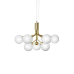 Apiales Chandeliers