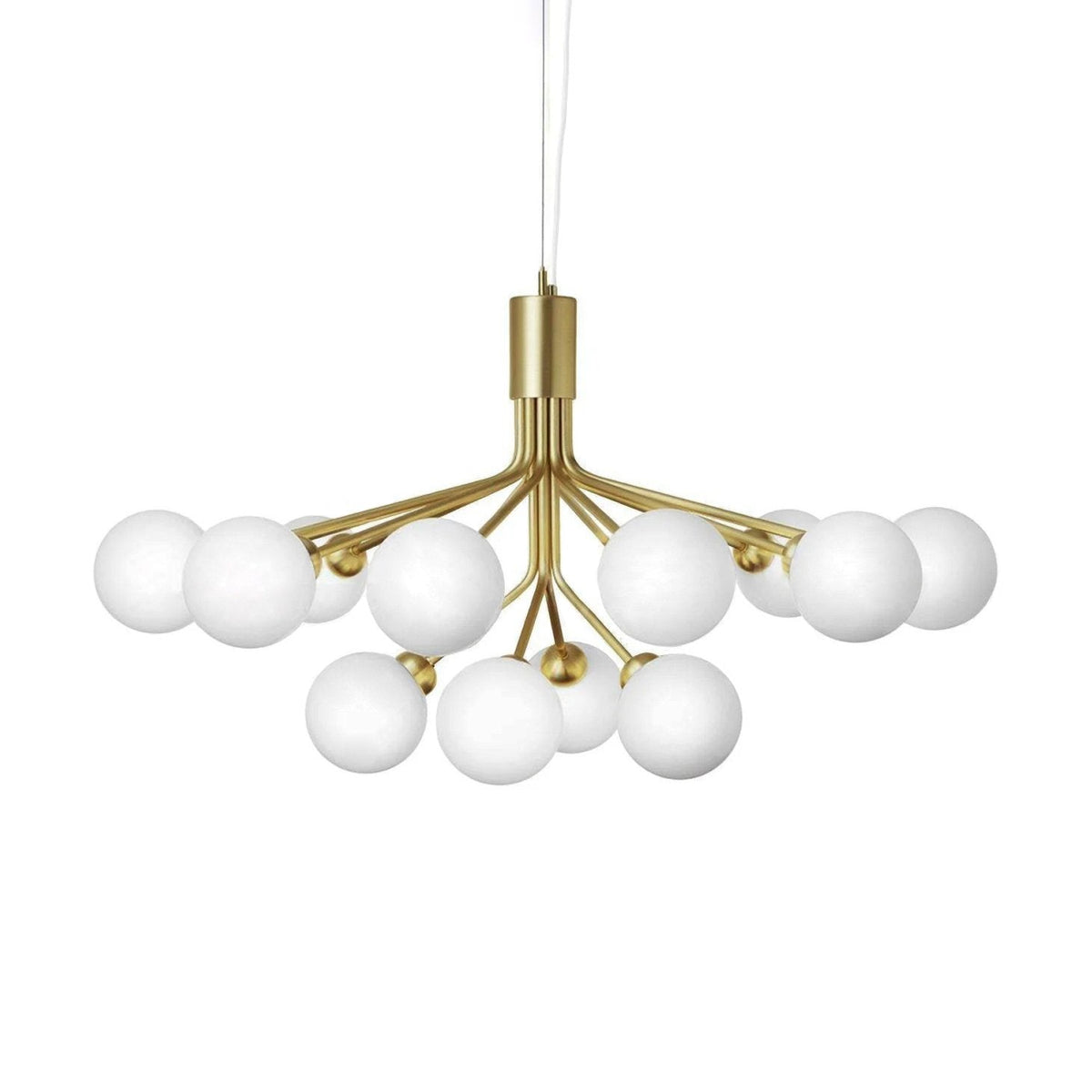 Apiales Chandeliers