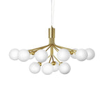 Apiales Chandeliers