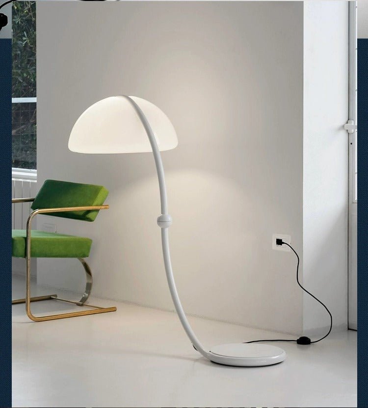 Arc Dome Floor Lamp – Modern Curved LED Floor Light for Living Room & Bedroom
