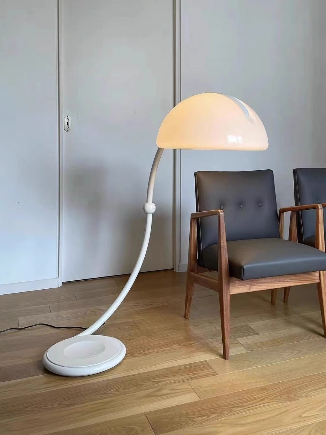 Arc Dome Floor Lamp – Modern Curved LED Floor Light for Living Room & Bedroom