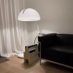 Arc Dome Floor Lamp – Modern Curved LED Floor Light for Living Room & Bedroom