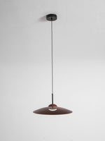 Arcadian Wood Grain Dome Pendant Light with Integrated LED