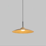 Arcadian Wood Grain Dome Pendant Light with Integrated LED