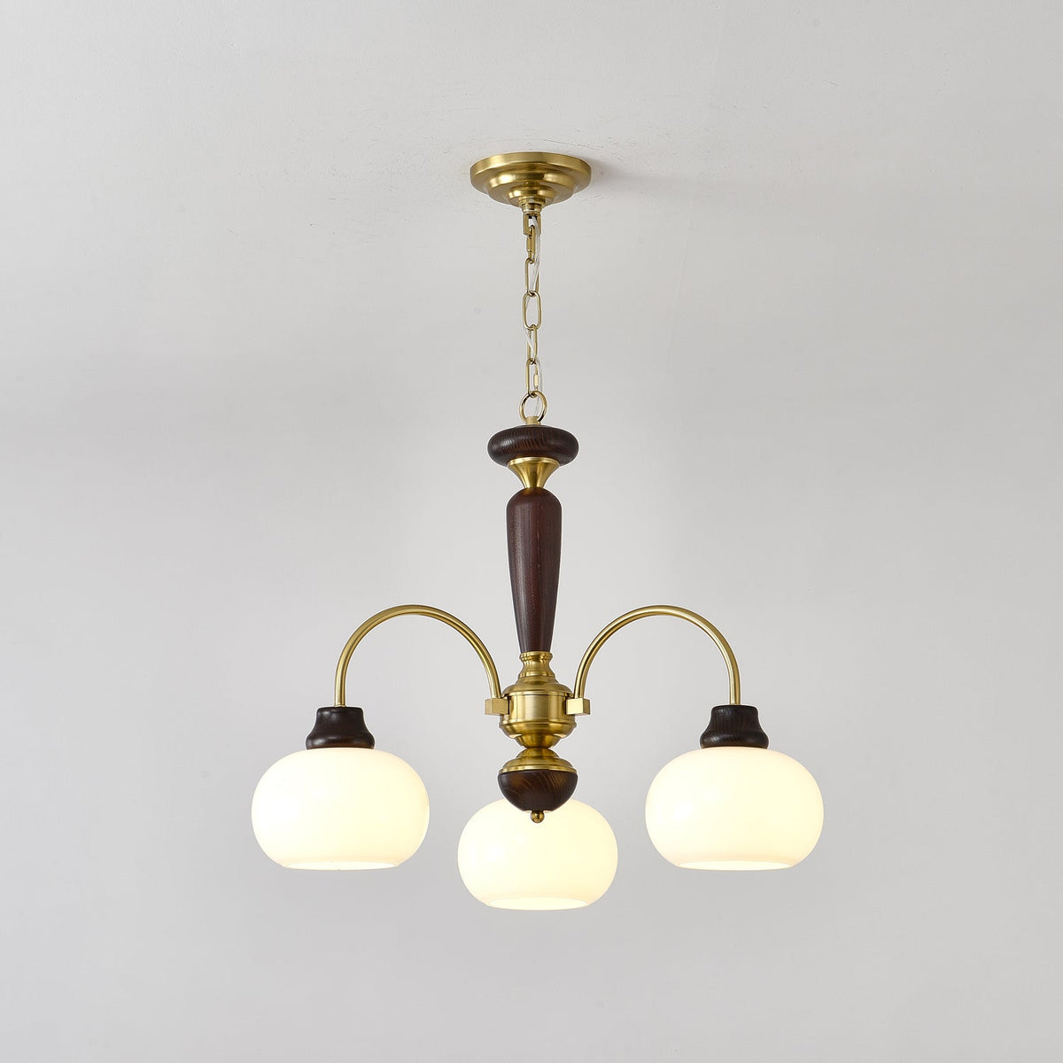 Arched Globe Chandelier Modern Wood Metal Glass Pendant Light