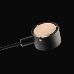 Arclen Adjustable Table Lamp in Stainless Steel with Gold Shade