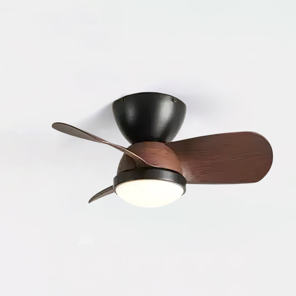 arilia-ceiling-fan-light