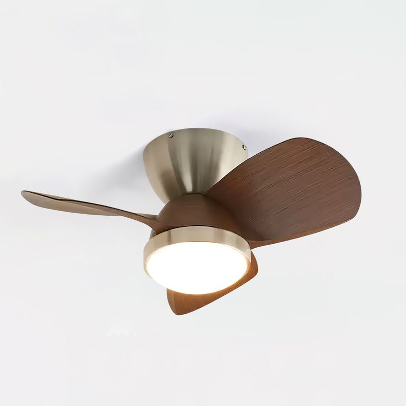 arilia-ceiling-fan-light