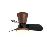 arilia-ceiling-fan-light