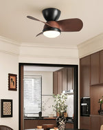 arilia-ceiling-fan-light