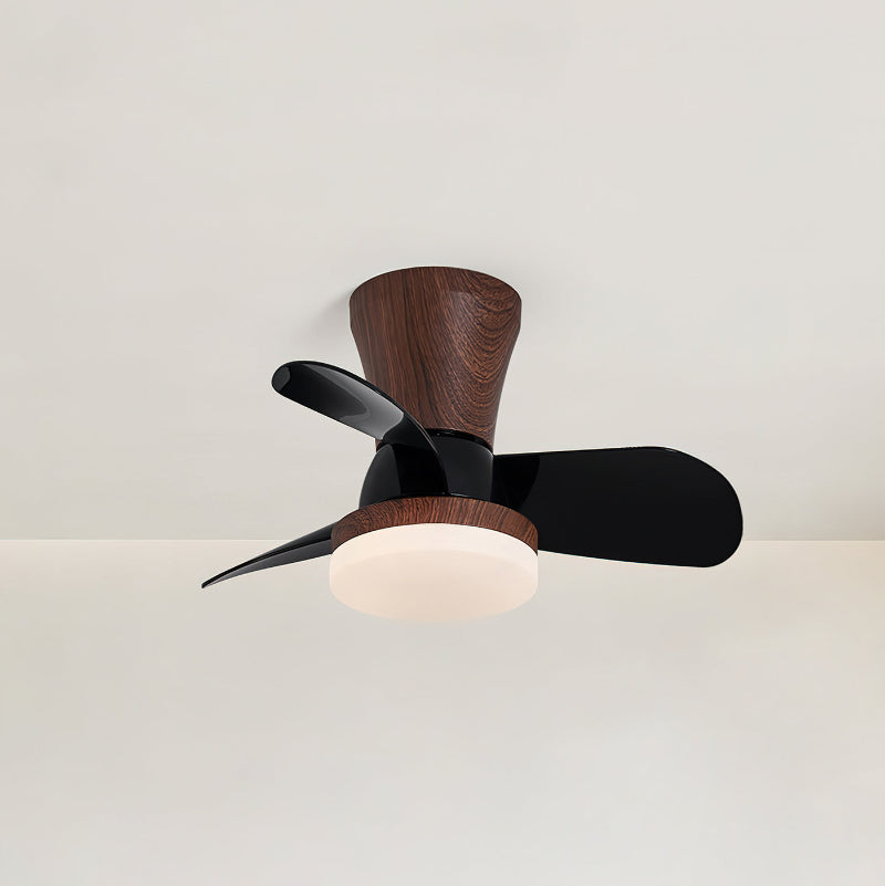arilia-ceiling-fan-light