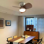 arilia-ceiling-fan-light