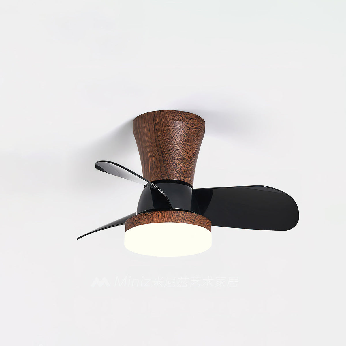 arilia-ceiling-fan-light