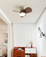 arilia-ceiling-fan-light