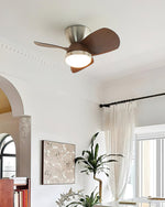 arilia-ceiling-fan-light