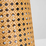 Arlette Solar Lantern Outdoor Lamp with Rattan Shade