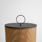 Arlette Solar Lantern Outdoor Lamp with Rattan Shade