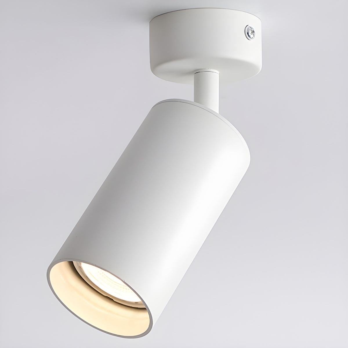 Arlo Adjustable Ceiling Spotlight in Black, White, or Gold – Modern Architectural Accent Light