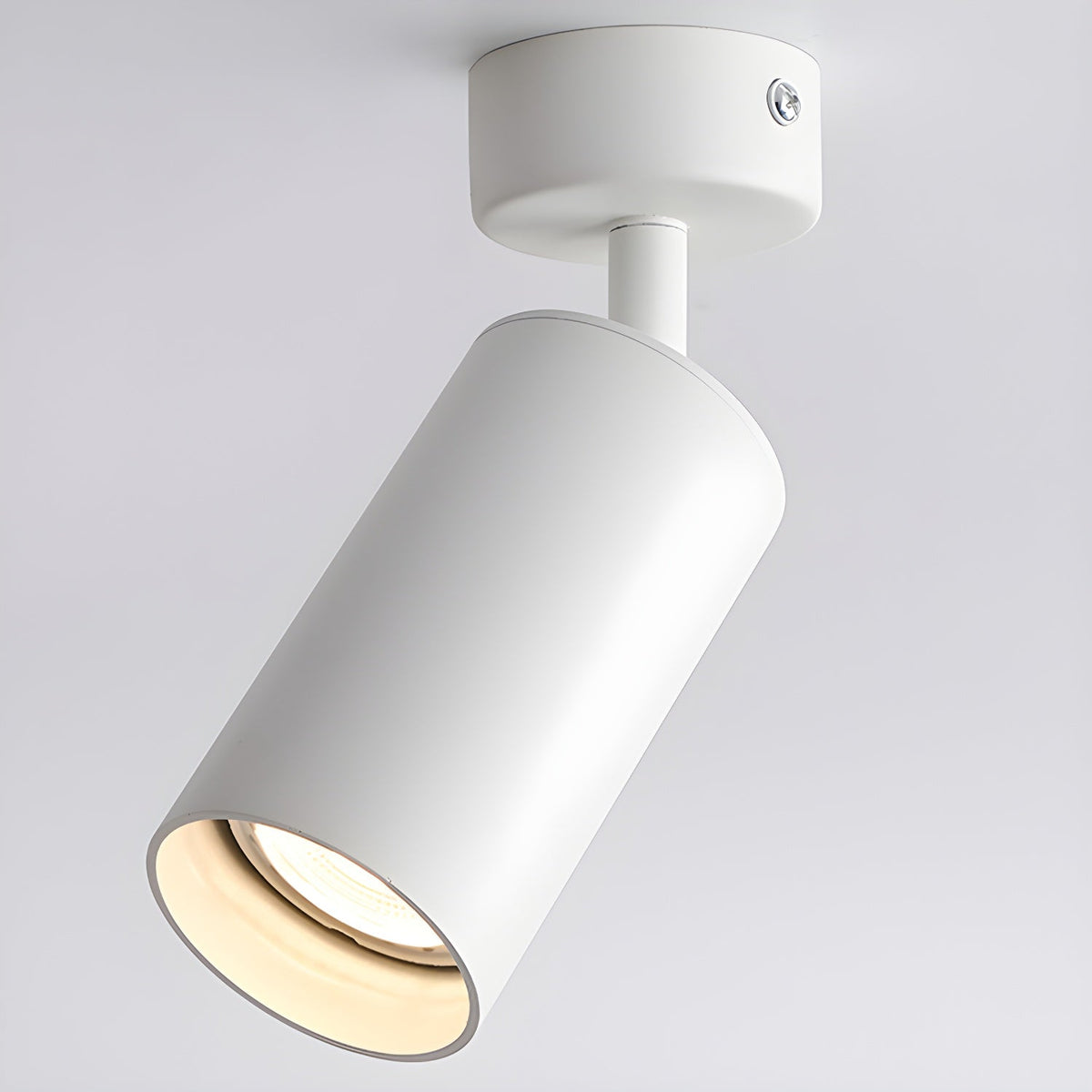 Arlo Adjustable Ceiling Spotlight in Black, White, or Gold – Modern Architectural Accent Light