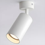 Arlo Adjustable Ceiling Spotlight in Black, White, or Gold – Modern Architectural Accent Light