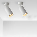 Arlo Adjustable Ceiling Spotlight in Black, White, or Gold – Modern Architectural Accent Light