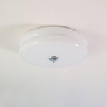Art Deco Vintage Ceiling Light - ailampplus