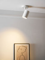 Calla Beam Spotlight – Modern Architectural LED Ceiling Spotlight