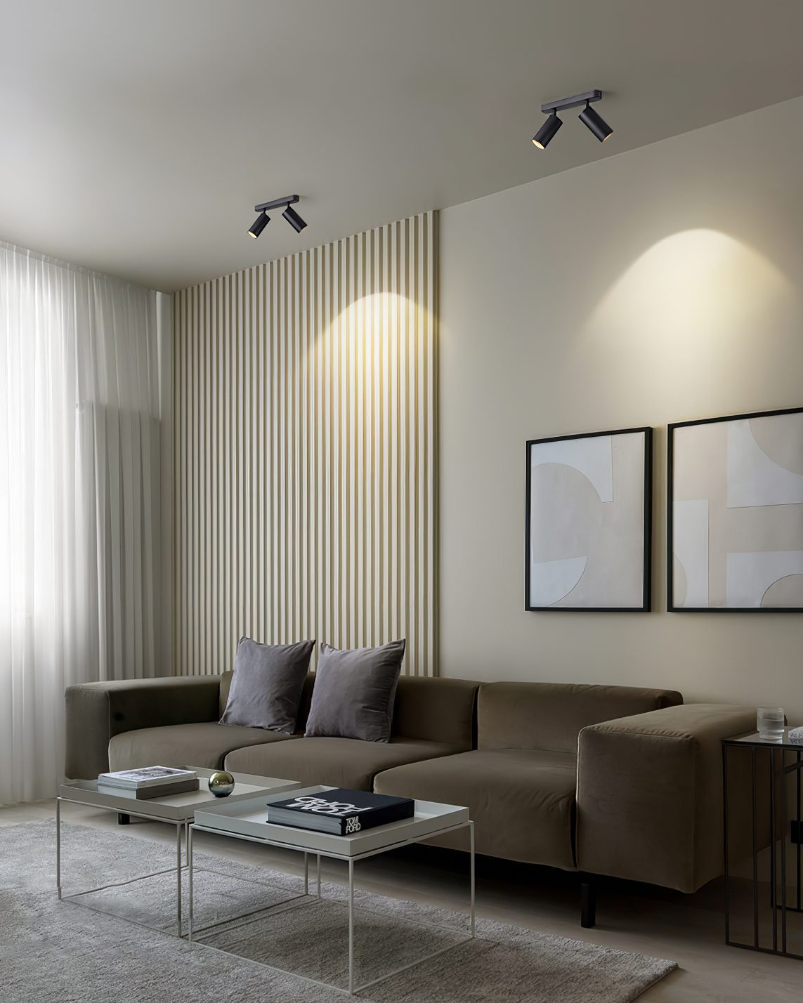 Track Dual Head Downlight