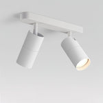 Track Dual Head Downlight