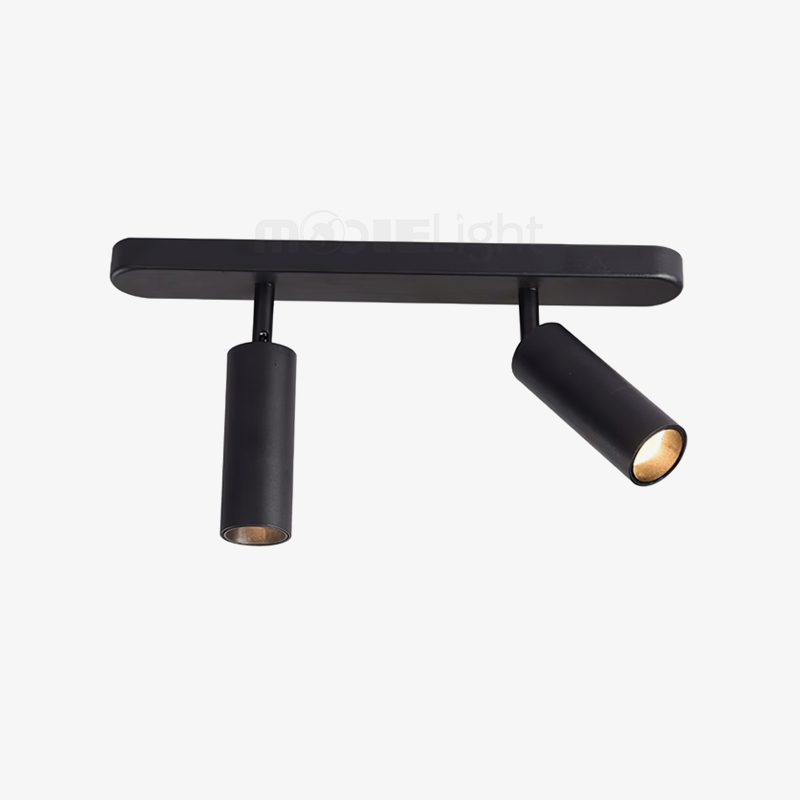 Track Dual Head Downlight