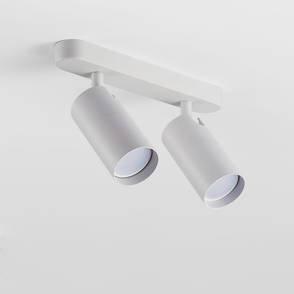 Track Dual Head Downlight