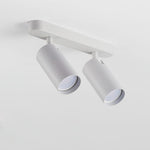Track Dual Head Downlight