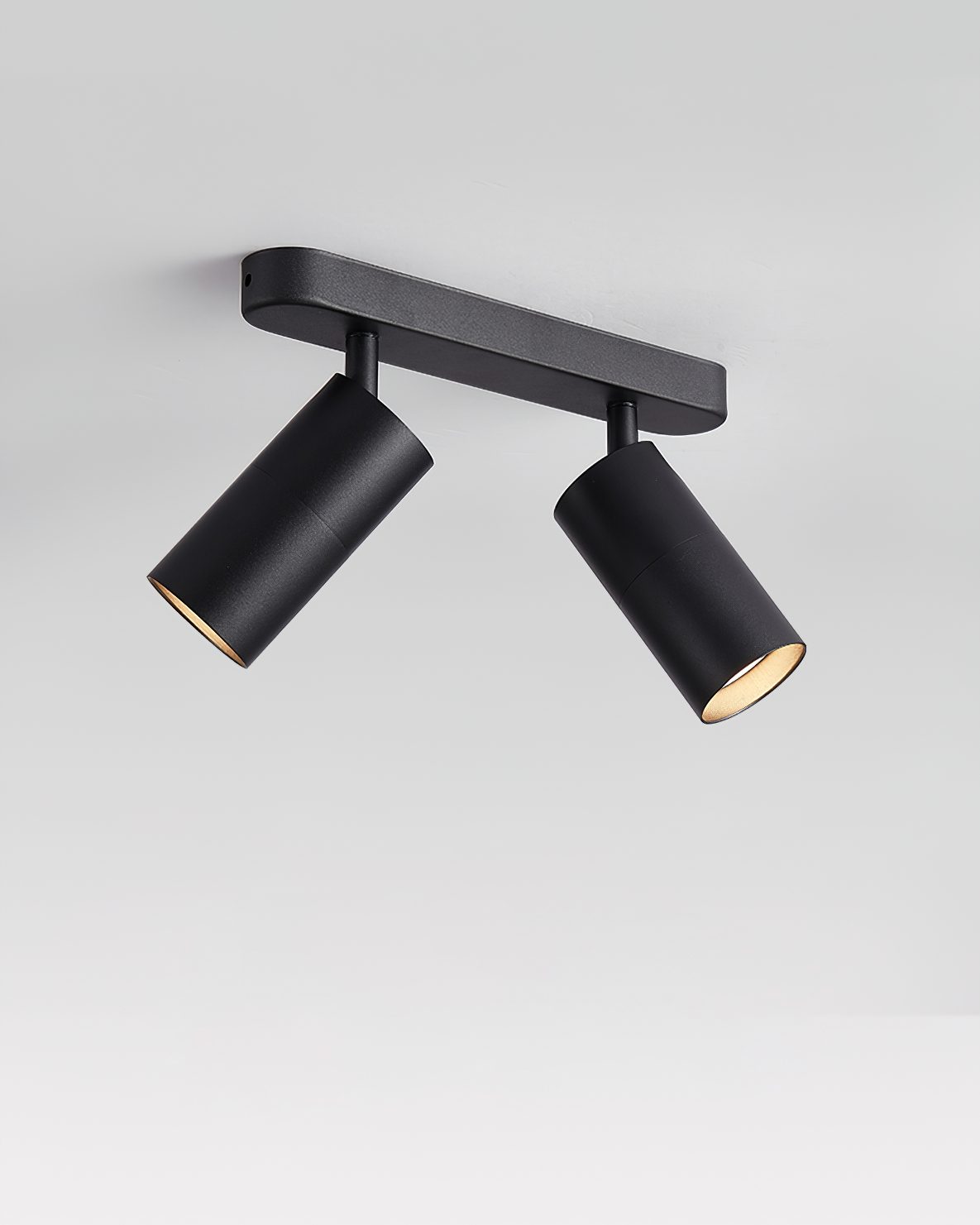 Track Dual Head Downlight