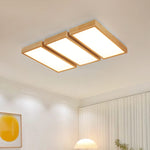 Aska Array Ceiling Light